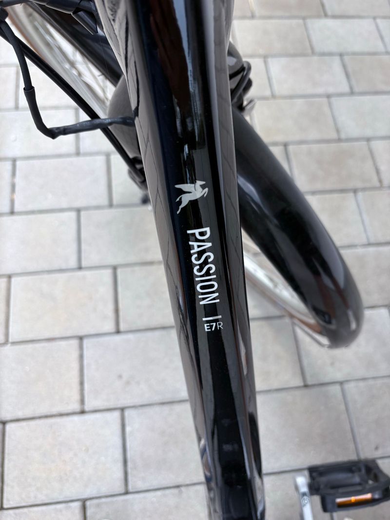 Used Pegasus Custom Urban, Black — image 8 of 9