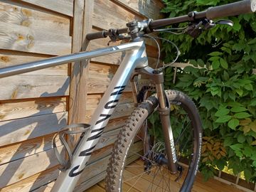 Used Canyon Exceed CF 5 2024 2024 Mountainbike, Light Gray, 29 — image 3 of 11
