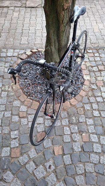 Used Bergamont Custom Shimano 105 2009 Road & Gravel, Black — image 4 of 8