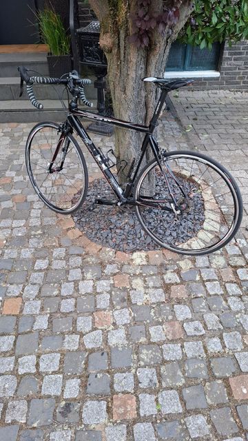 Used Bergamont Custom Shimano 105 2009 Road & Gravel, Black — image 2 of 8