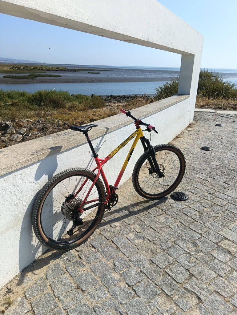 Ragley Big Wig Race 2020 2020 Mountainbike usato, Rosso — immagine 3 di 5
