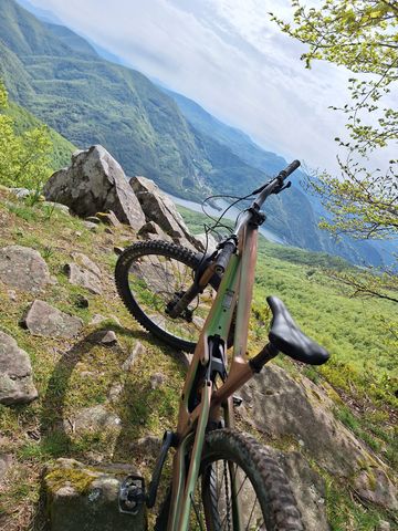Used Cannondale Jekyll 1 2024 2024 Mountainbike, Green, 29 — image 2 of 5