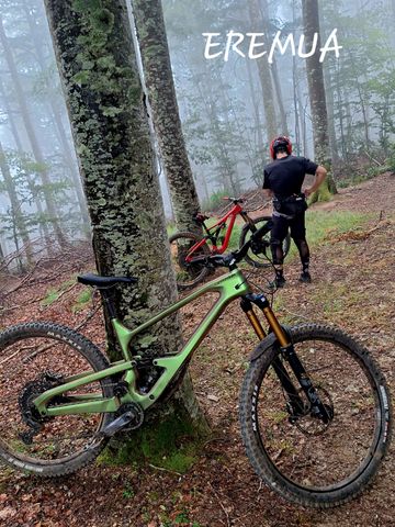 Used Cannondale Jekyll 1 2024 2024 Mountainbike, Green, 29 — image 5 of 5