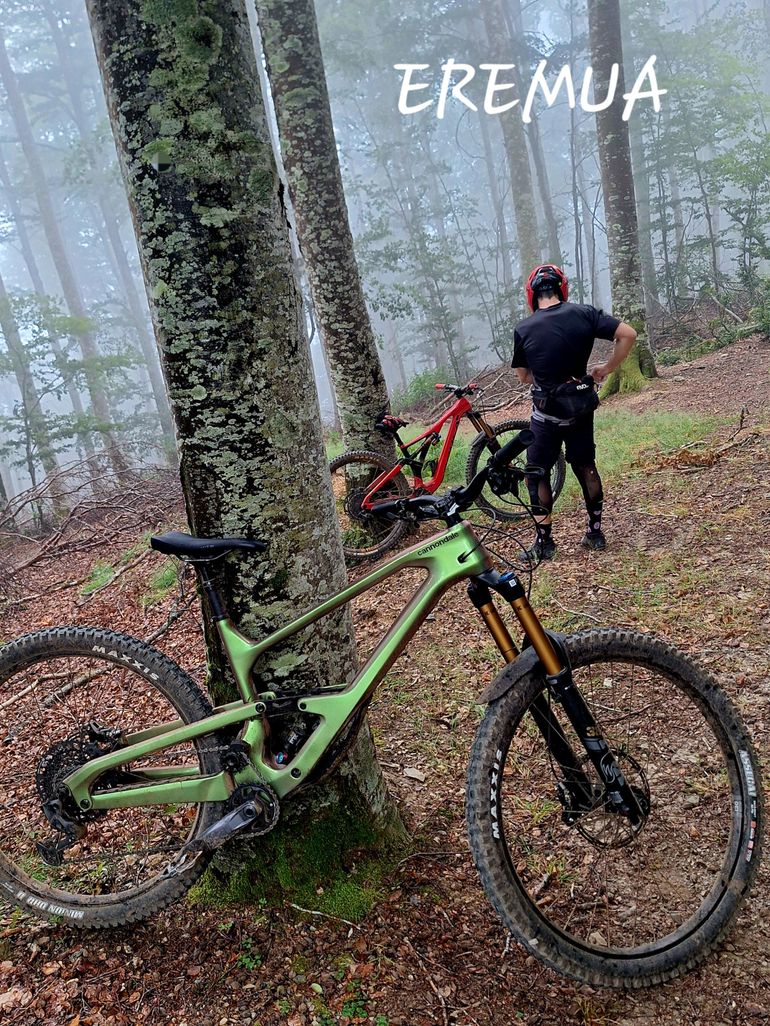 Used Cannondale Jekyll 1 2024 2024 Mountainbike, Green, 29 — image 5 of 5