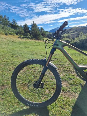 Used Cannondale Jekyll 1 2024 2024 Mountainbike, Green, 29 — image 3 of 5