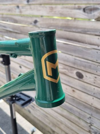 Gebrauchtes Marino Custom Frameset 2020 Mountainbike, Grün — Bild 3 von 5