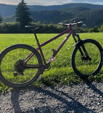 Used Last Fast Forward - Kickstarter Kampagne Frameset 2015 MTB