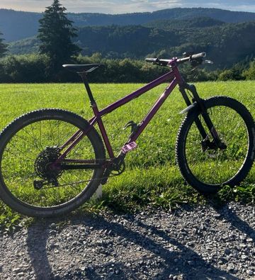 Used Last Fast Forward - Kickstarter Kampagne Frameset 2015 MTB