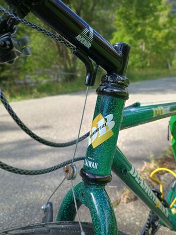 Used Diamond back Custom Other Shimano 1994 Mountainbike, Green — image 4 of 10