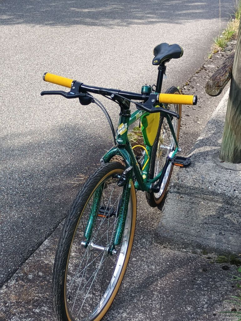 Used Diamond back Custom Other Shimano 1994 Mountainbike, Green — image 6 of 10