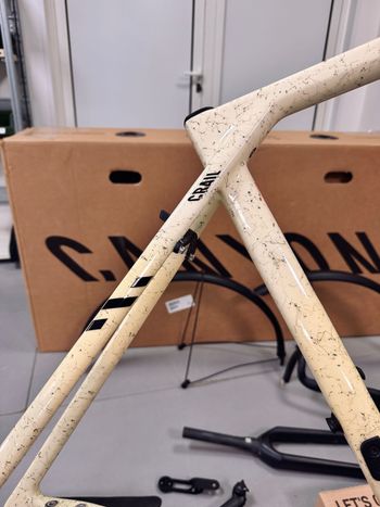 Used Canyon Grail Frameset 2025 2025 Road & Gravel, White — image 3 of 7