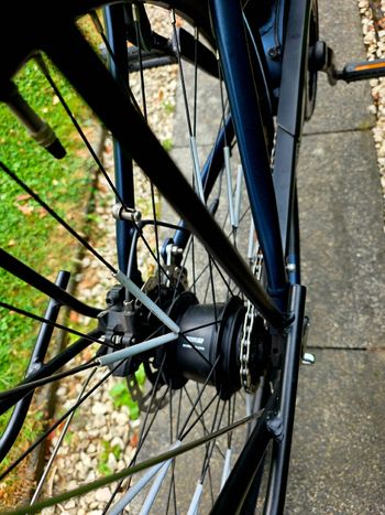 Used Pegasus Custom 2021 Urban, Blue — image 2 of 8