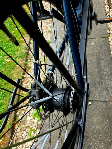 Used Pegasus Custom 2021 Urban, Blue — image 2 of 10