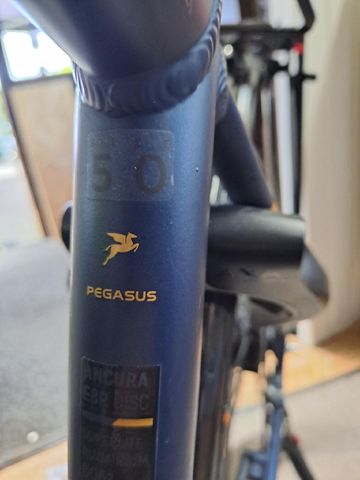 Used Pegasus Custom 2021 Urban, Blue — image 4 of 10