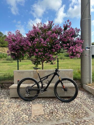 Specialized S-Works Epic EVO LTD 2024 2024 MTB usato
