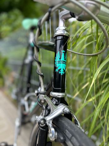 Używany Bianchi Caurus 945 1990 1990 Road & Gravel
