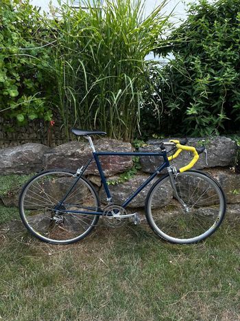 Dancelli Vintage 1985 Columbus SL 1985 Road & Gravel d'occasion