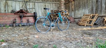 Giant Cadex CFR2 Campagnolo 1996 Road & Gravel usato