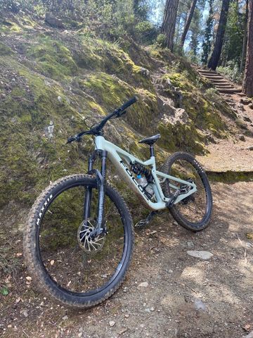Used Focus JAM 6.8 2021 2021 Mountainbike, White, 29 — image 5 of 15