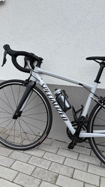 Brugt Specialized Allez Sport 2022 2022 Road & Gravel