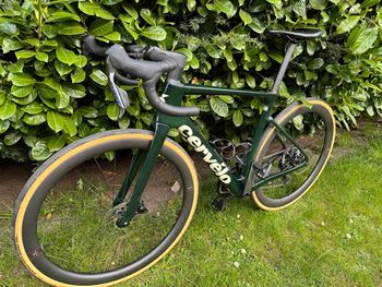 Gebrauchtes Cervélo Cervelo Caledonia 5 Frameset Frameset 2026 Road & Gravel, Grün — Bild 6 von 6