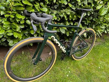 Gebrauchtes Cervélo Cervelo Caledonia 5 Frameset Frameset 2026 Road & Gravel, Grün — Bild 6 von 6