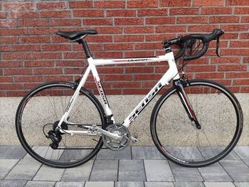 Used Sensa Umbria Alu Rennrad 2015 Road & Gravel