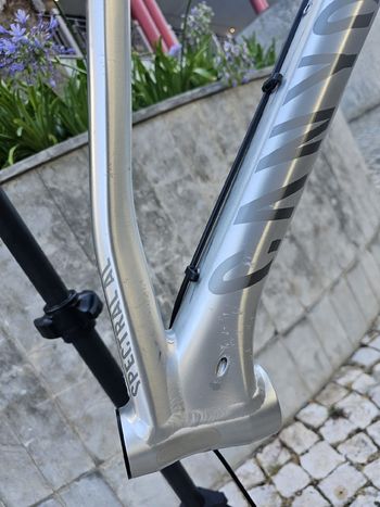 Used Canyon Spectral Frameset 2017 Mountainbike, Light Gray — image 8 of 15