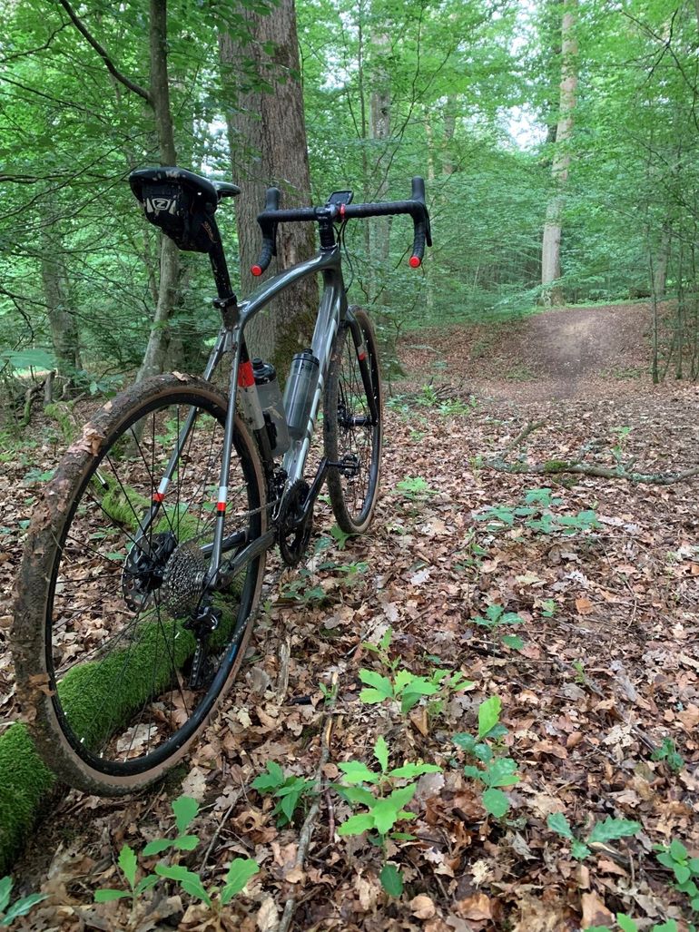Used Ridley Kanzo Shimano GRX 2021 Road & Gravel, Light Gray — image 3 of 3
