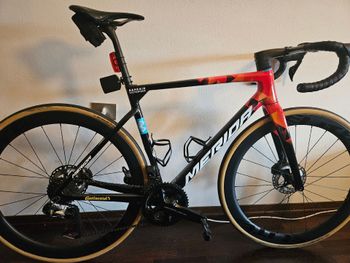 Used Merida SCULTURA TEAM 2023 2023 Road & Gravel