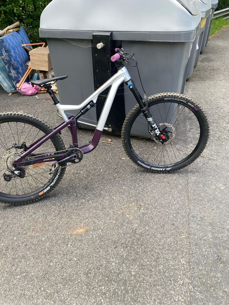 Used Focus JAM 6.9 2024 2024 Mountainbike, Purple, 29 — image 1 of 6