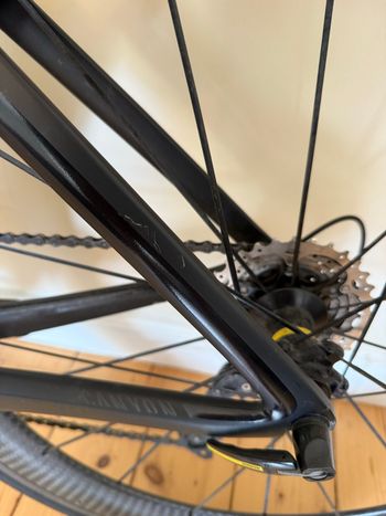 Tweedehands Canyon Speedmax WMN CF 8.0 2018 2018 Road & Gravel — afbeelding 6 van 9