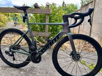 Brugt Giant Propel, Advanced SL 1 2023 2023 Road & Gravel — billede 5 af 6