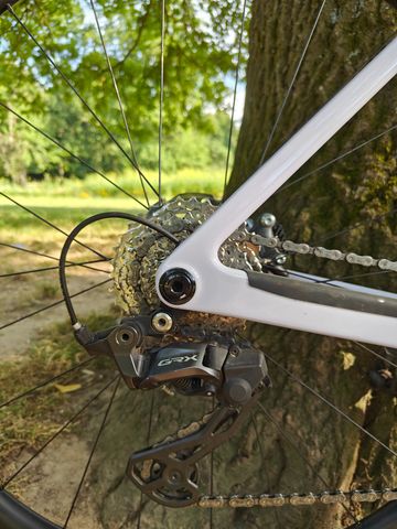 Canyon Grail CF SL 7 2024 2024 Road & Gravel usato, Grigio chiaro — immagine 7 di 20