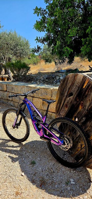 Used Cannondale Jekyll 2 2025 2025 Mountainbike, Purple — image 2 of 16
