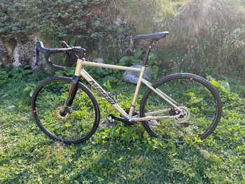 Used Massi Custom Shimano GRX 2025 Road & Gravel