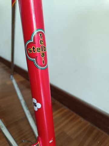 Used Stelbel Custom Frameset 1983 Road & Gravel, Red — image 18 of 30