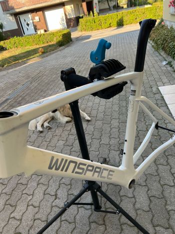 Used WINSPACE Custom Frameset 2024 Road & Gravel, White — image 6 of 8