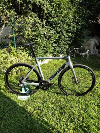 Used Bianchi Aria Ultegra Disc Di2 12S 2023 2023 Road & Gravel