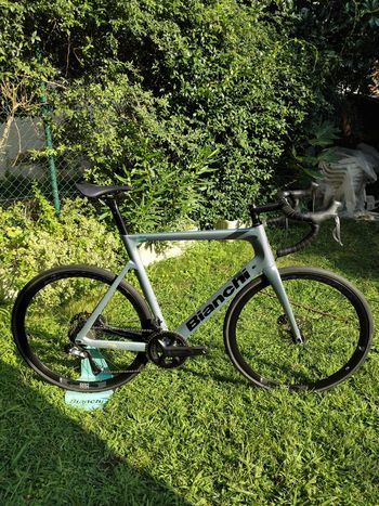 Used Bianchi Aria Ultegra Disc Di2 12S 2023 2023 Road & Gravel