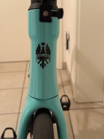 Bianchi Specialissima COMP 105 Di2 2024 Frameset 2024 Road & Gravel d'occasion — image 2 sur 7