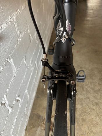 Brugt Bianchi Intenso Campagnolo Athena 2016 Road & Gravel — billede 8 af 11
