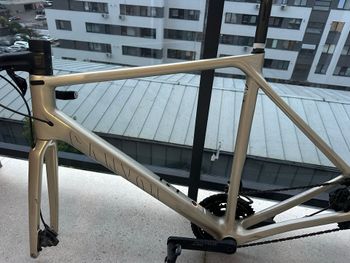 Canyon Ultimate CFR Disc Di2 2023 Frameset 2023 Road & Gravel d'occasion — image 2 sur 9