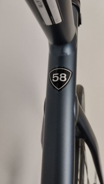 Używany Specialized Allez Comp 2026 2026 Road & Gravel — zdjęcie 8 z 26