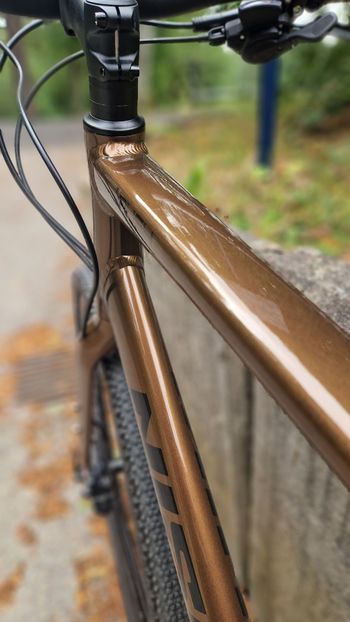 Used Nishiki Rush 2025 Road & Gravel, White — image 6 of 6
