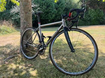 Used Dedacciai K19 2013 Road & Gravel, Light Gray — image 12 of 18