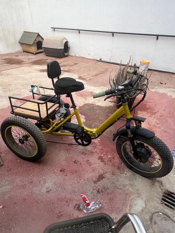 Triciclo fatbike Custom Shimano Exage 2023 Urban & Touring d'occasion