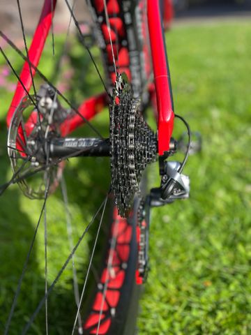 Used Alpha Bikes Custom SRAM XX1 Eagle 2022 Mountainbike, Red — image 4 of 11