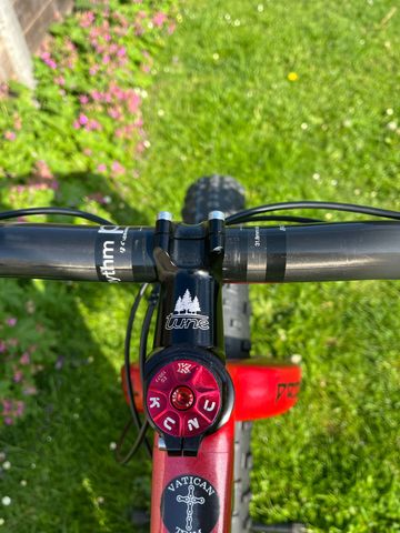 Used Alpha Bikes Custom SRAM XX1 Eagle 2022 Mountainbike, Red — image 9 of 11