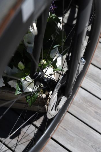 Used Cannondale Supersix Shimano Ultegra Di2 2022 Road & Gravel, Black — image 14 of 18